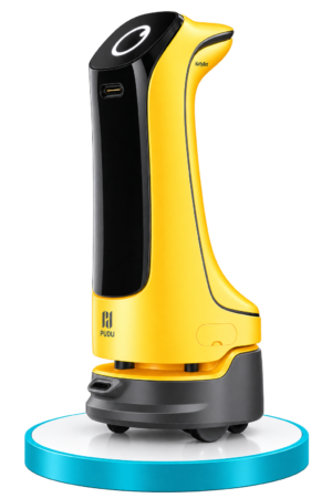 Delivery Robot